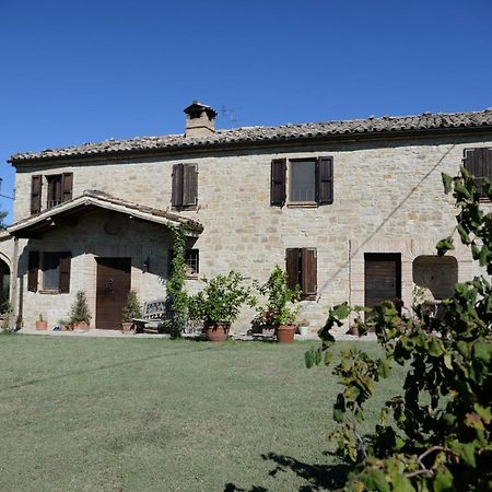 Bed and Breakfast Cascinale La Mimosa Cupramontana Экстерьер фото