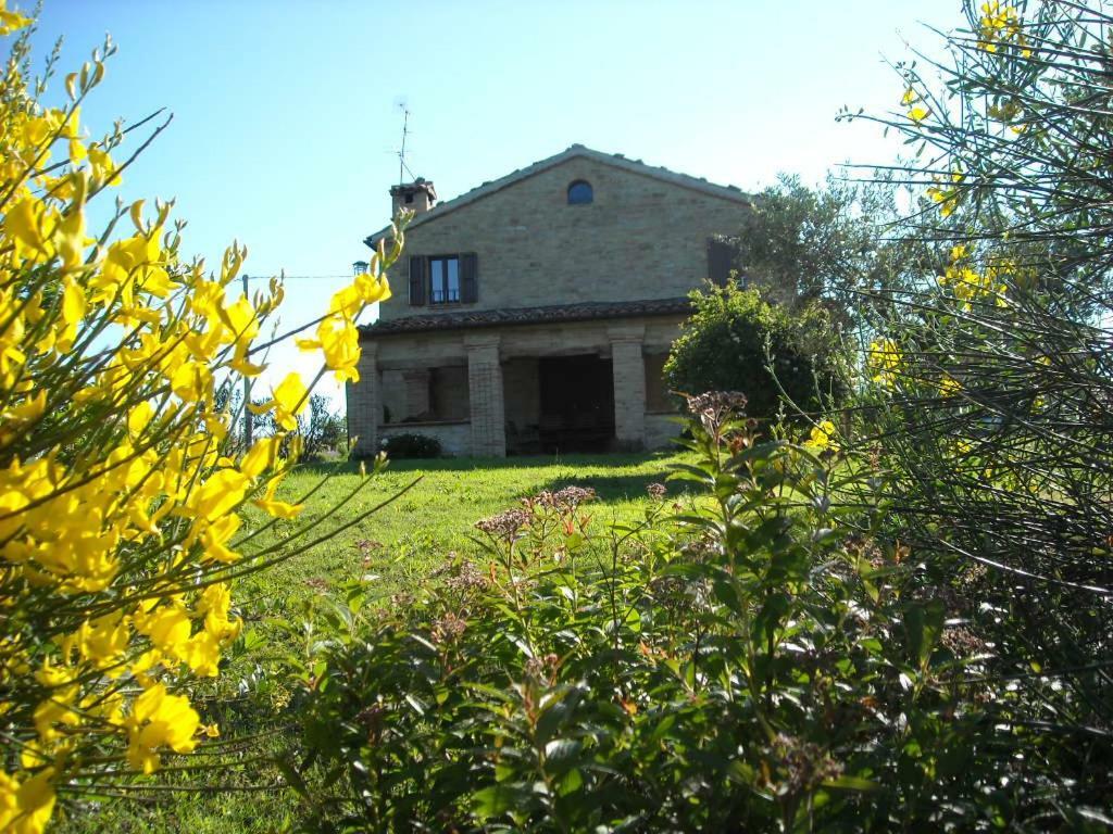 Bed and Breakfast Cascinale La Mimosa Cupramontana Экстерьер фото